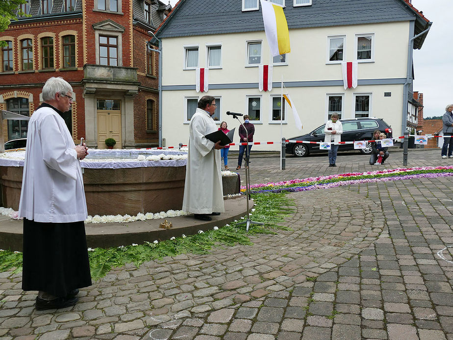 Bluemteppich auf dem Naumburegr Marktplatz (Foto: Karl-Franz Thiede)